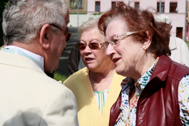 Guzmický, Sabatinová, Brázdová